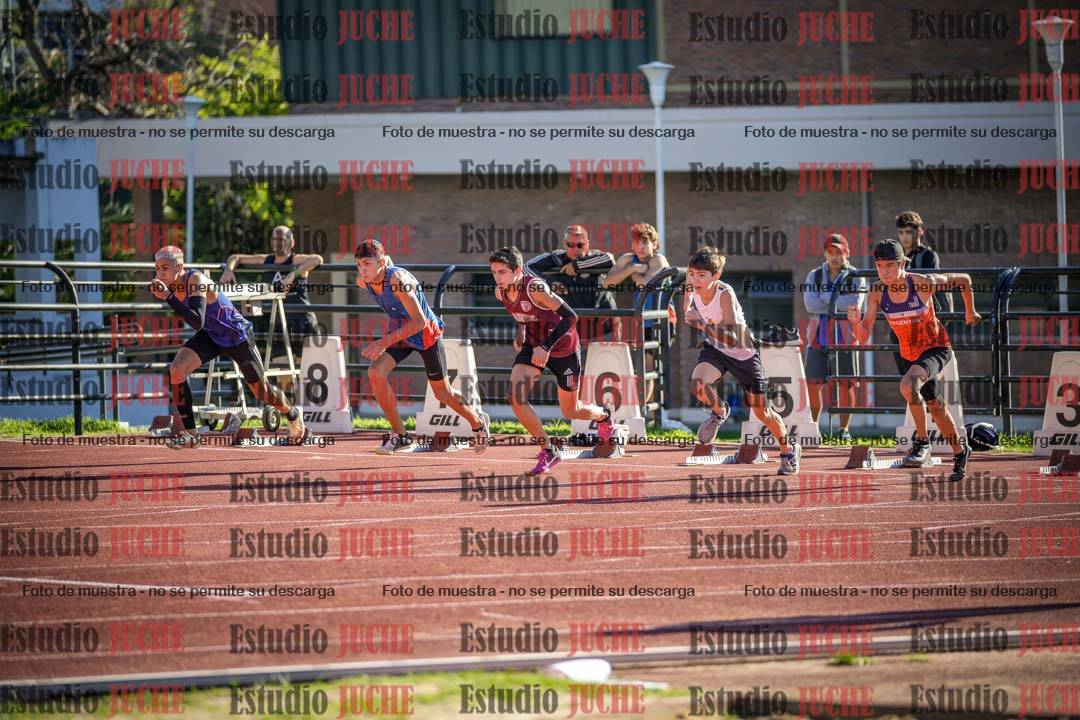 Fotos de los 110 m con vallas de varones
