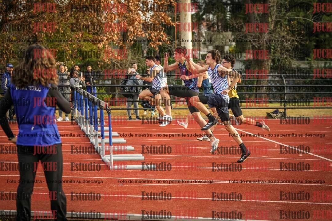 Fotos de los 110 m con vallas de varones