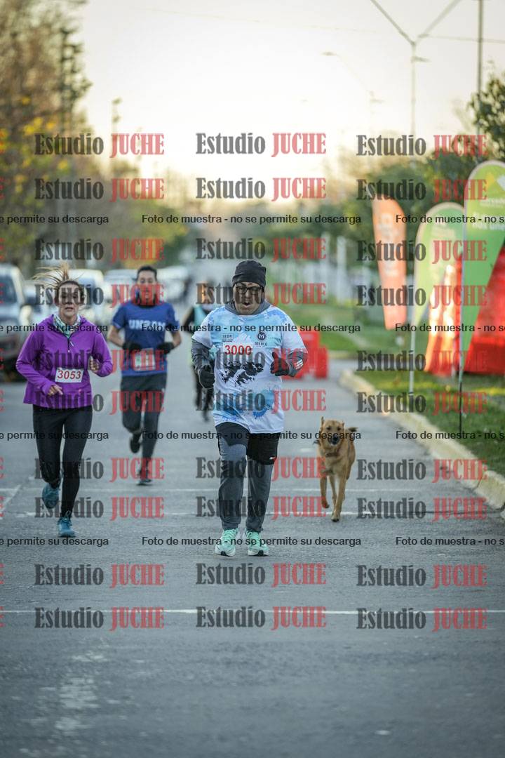 Fotos de las llegadas
