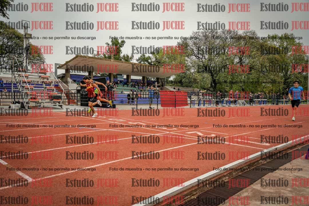 Fotos de los 295 m con vallas de varones
