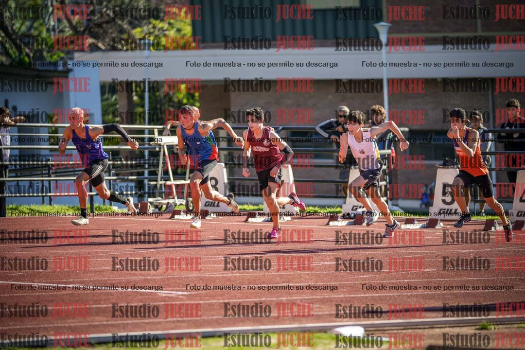 Fotos de los 110 m con vallas de varones