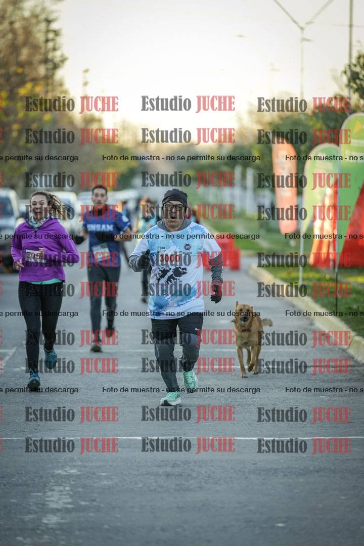 Fotos de las llegadas