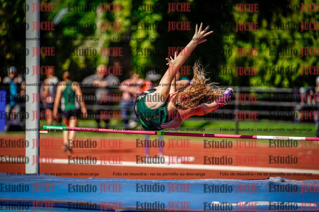Fotos del salto en alto