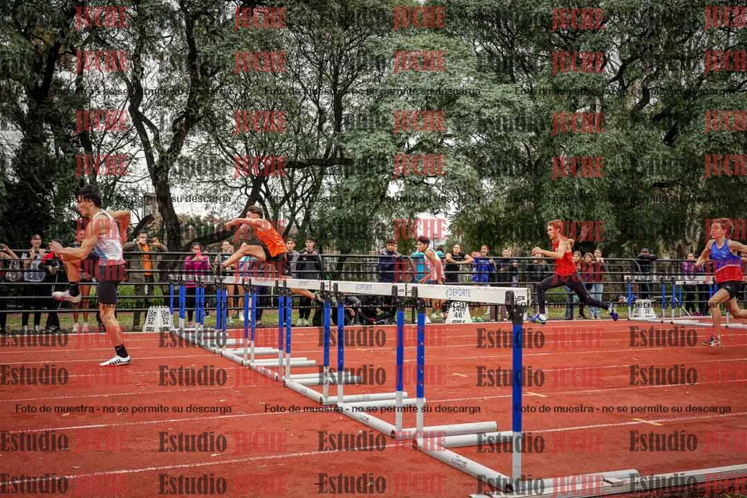 Fotos de los 110 m con vallas de varones