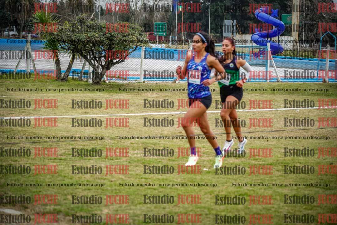 Fotos en el circuito