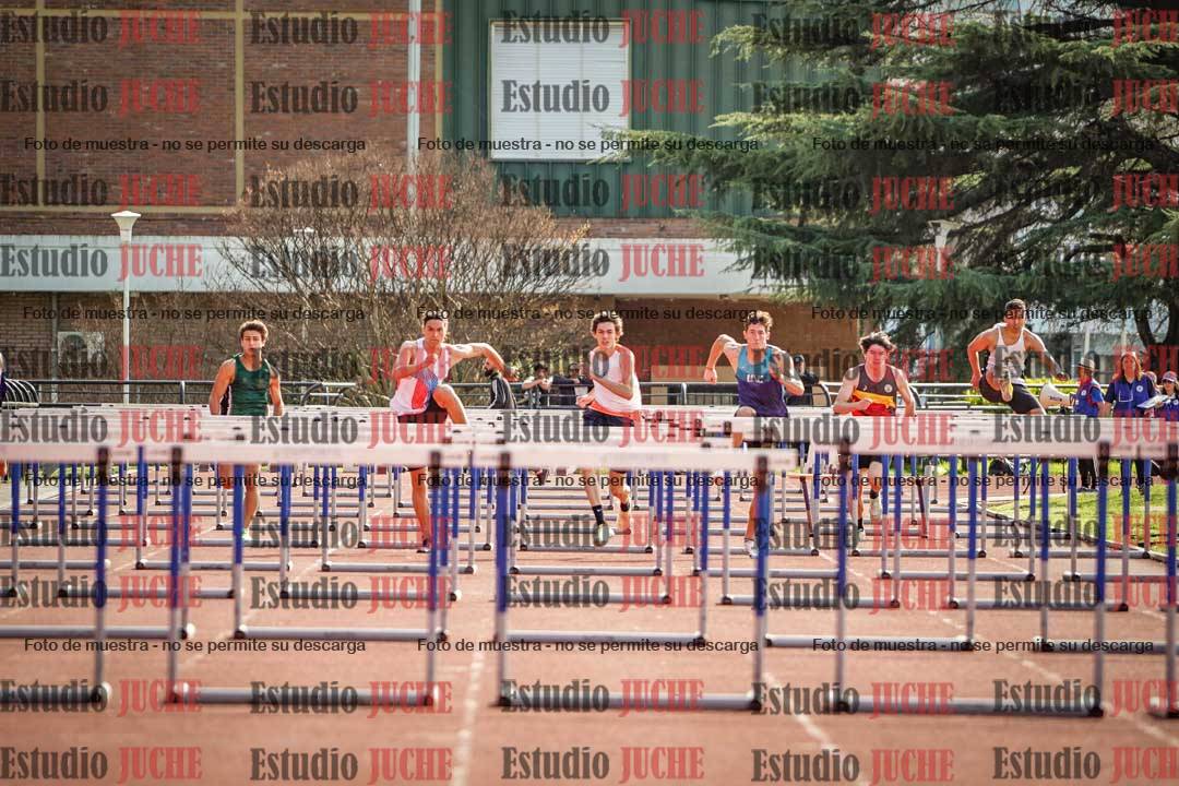 Fotos de los 110 m con vallas de varones