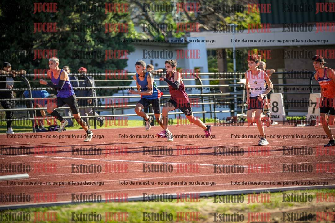 Fotos de los 110 m con vallas de varones