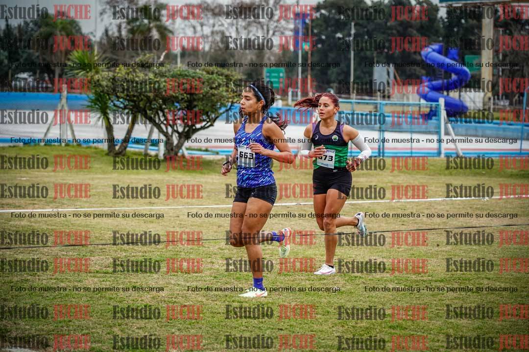 Fotos en el circuito