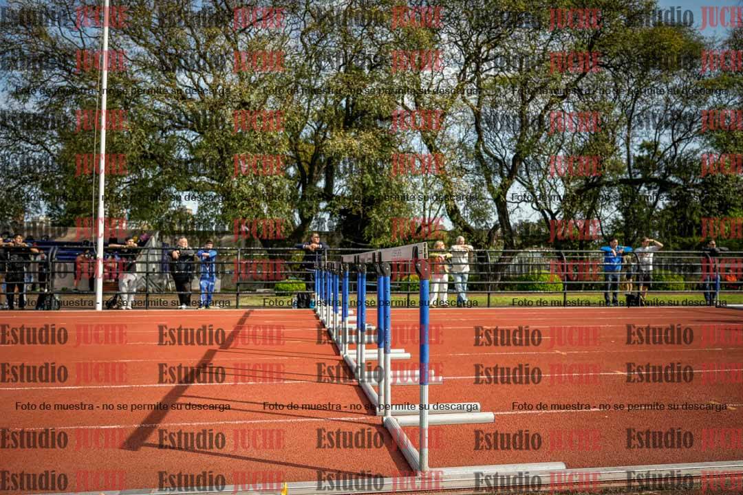 Fotos de los 110 m con vallas de varones