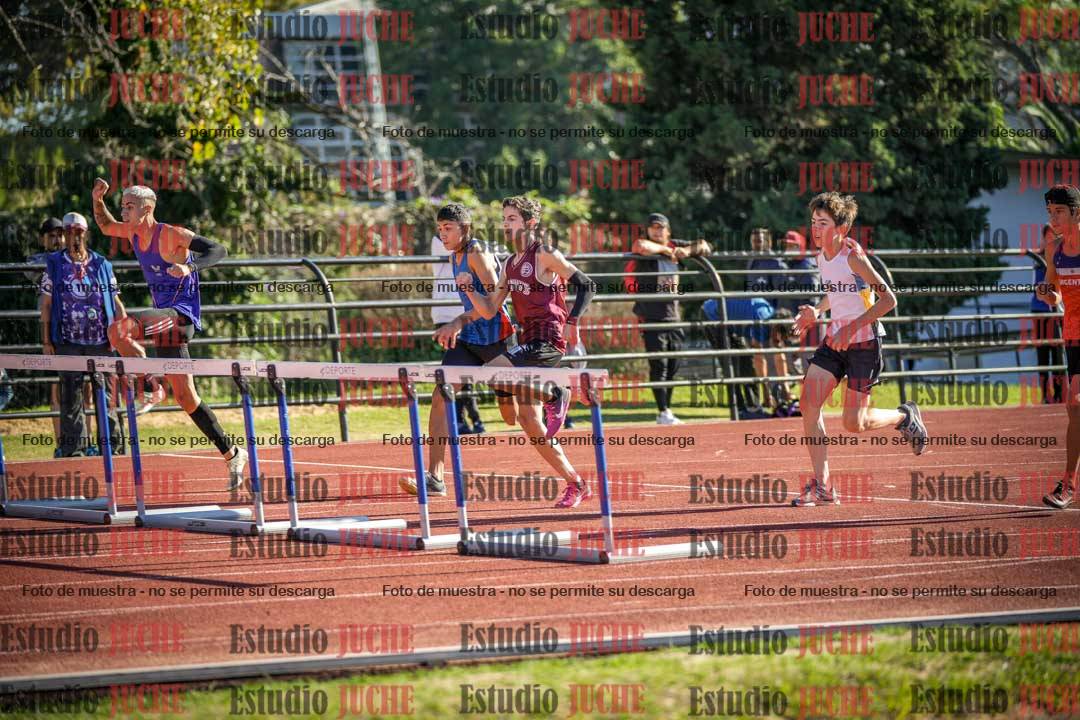 Fotos de los 110 m con vallas de varones