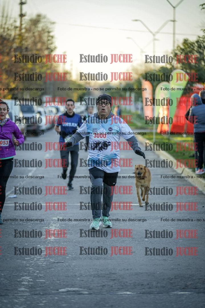 Fotos de las llegadas