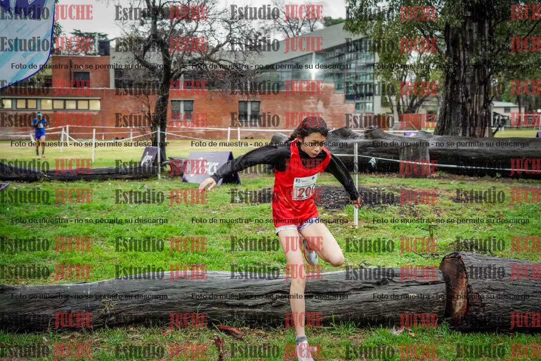 Fotos en el circuito