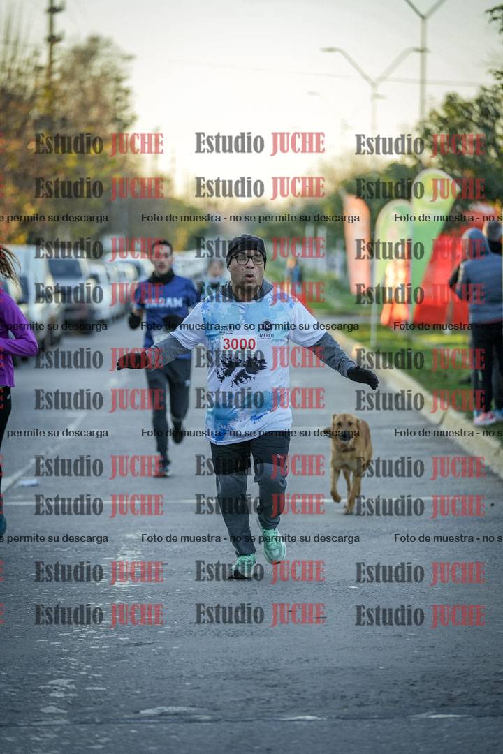 Fotos de las llegadas