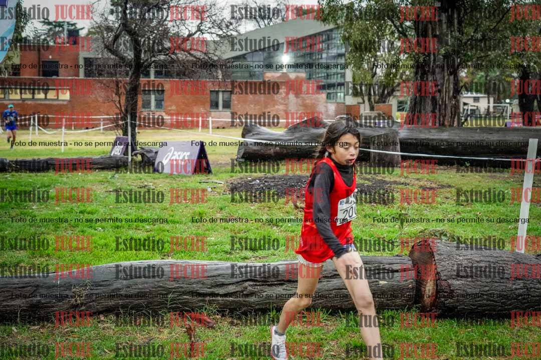 Fotos en el circuito