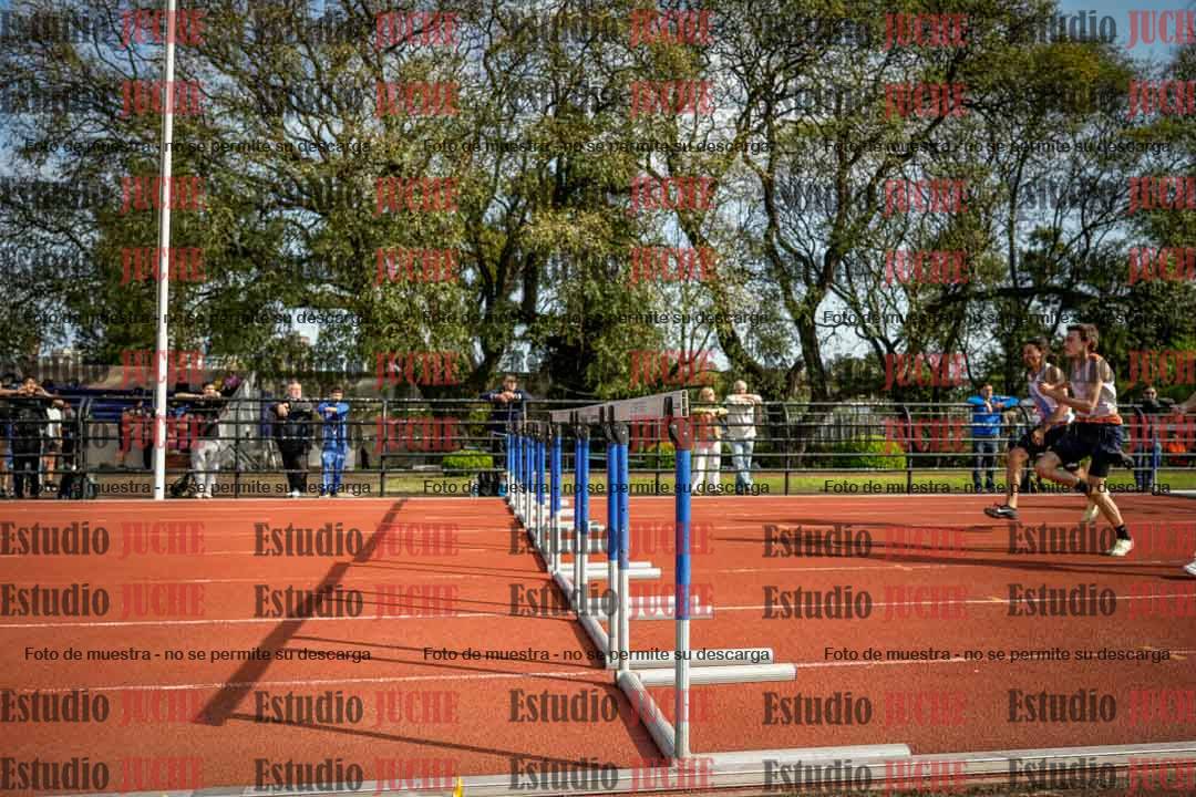 Fotos de los 110 m con vallas de varones
