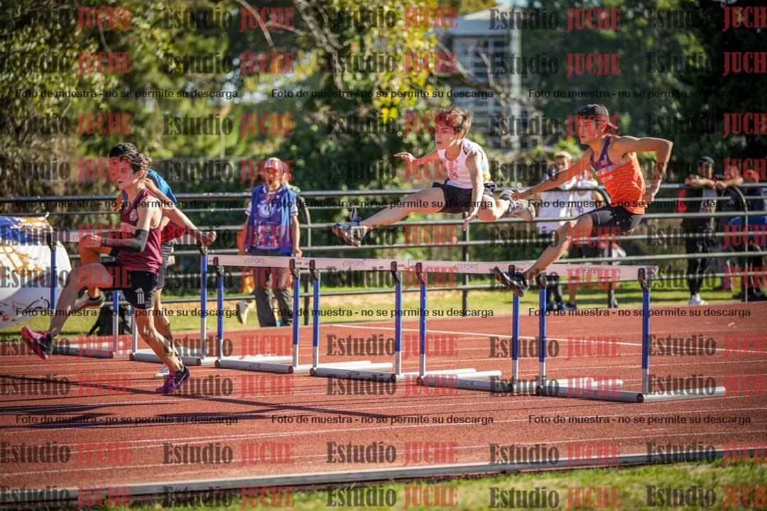 Fotos de los 110 m con vallas de varones