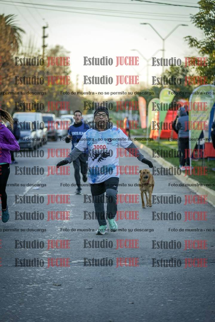Fotos de las llegadas