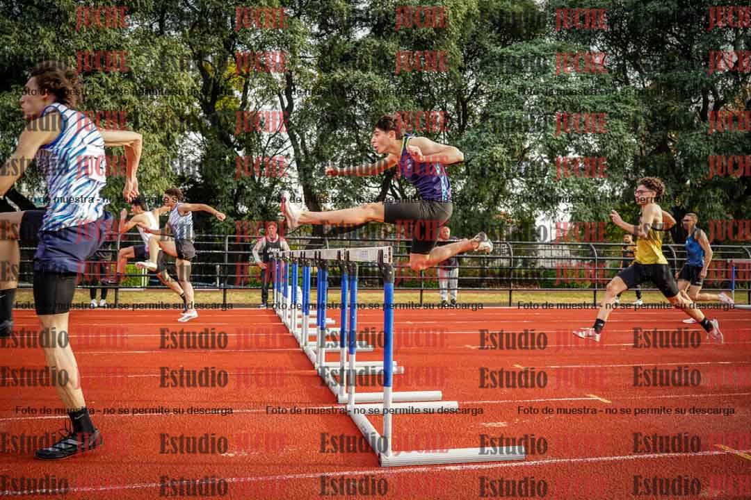 Fotos de los 110 m con vallas de varones