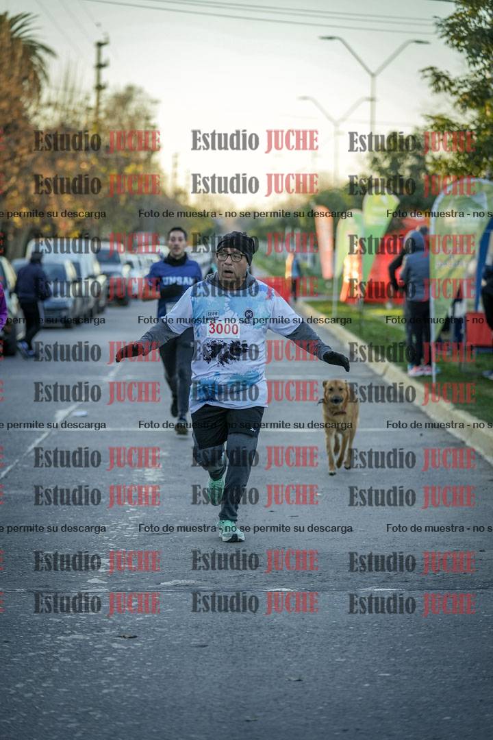 Fotos de las llegadas