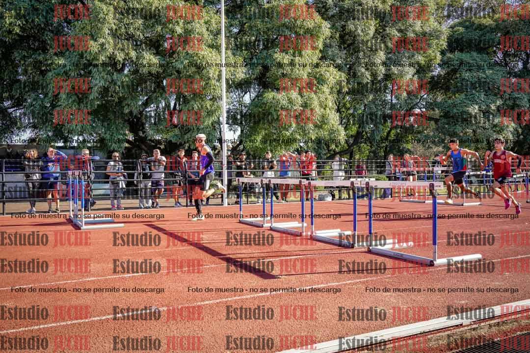 Fotos de los 110 m con vallas de varones