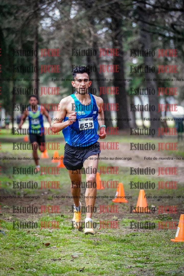 Fotos en el circuito