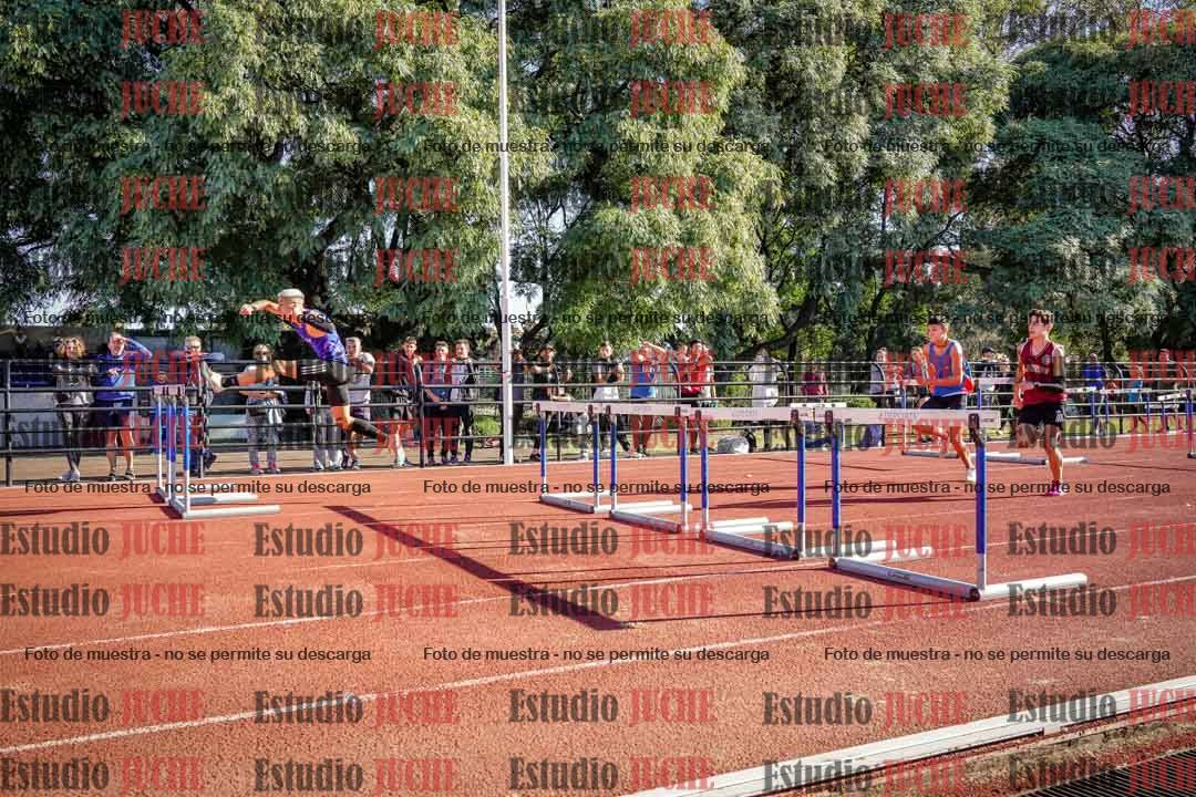 Fotos de los 110 m con vallas de varones
