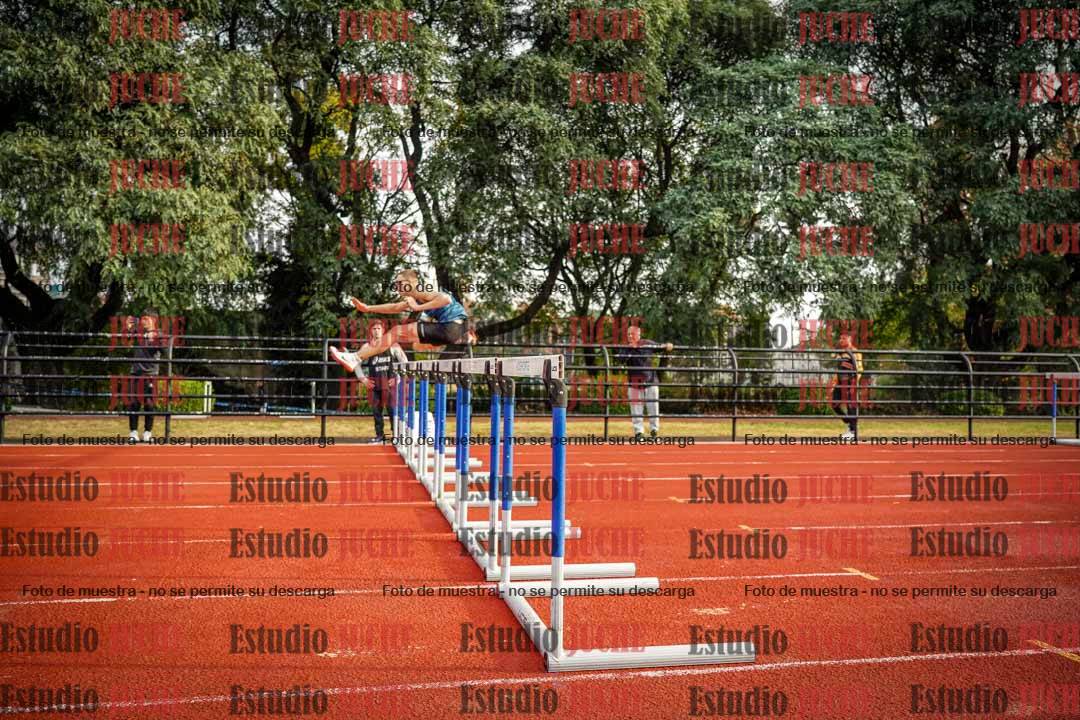 Fotos de los 110 m con vallas de varones
