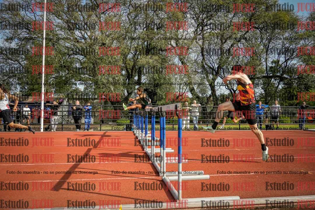 Fotos de los 110 m con vallas de varones