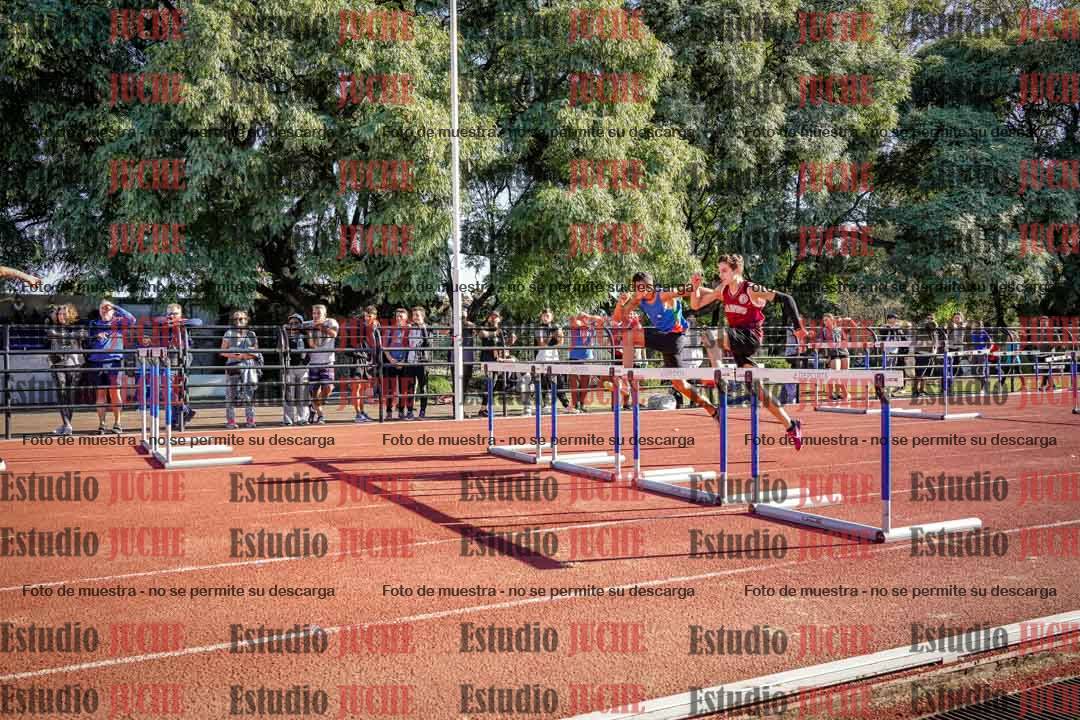 Fotos de los 110 m con vallas de varones