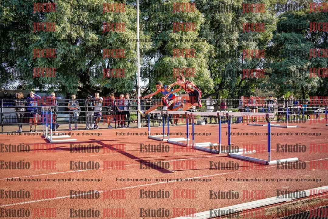 Fotos de los 110 m con vallas de varones