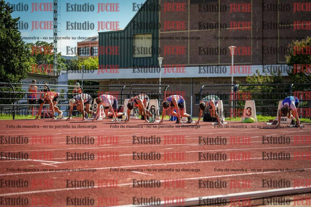 Fotos de los 110 m con vallas de varones