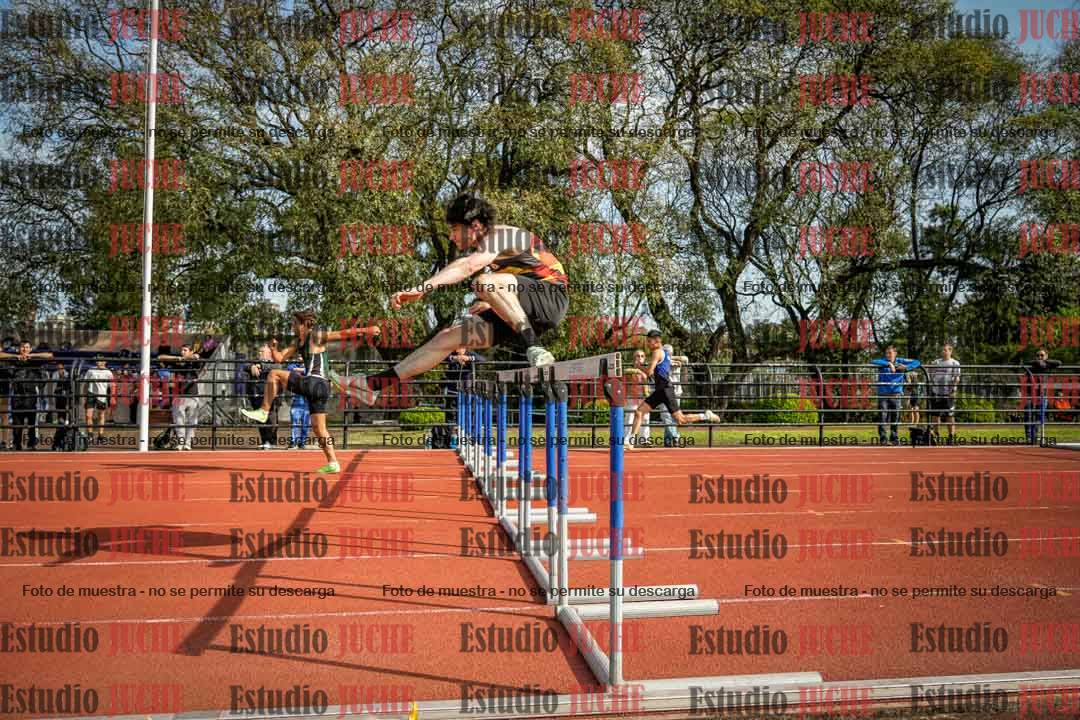 Fotos de los 110 m con vallas de varones