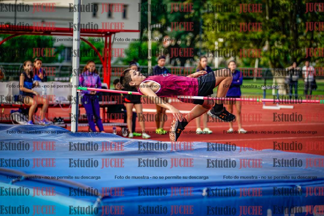 Fotos del salto en alto de mujeres y varones