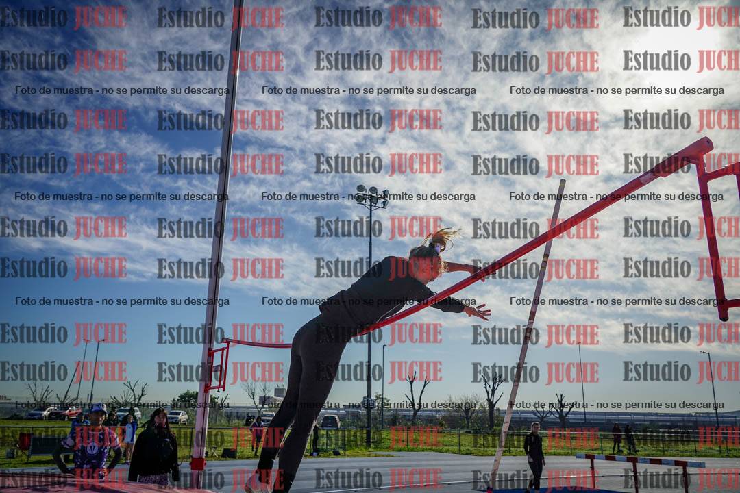 Fotos del salto con garrocha de mujeres y varones