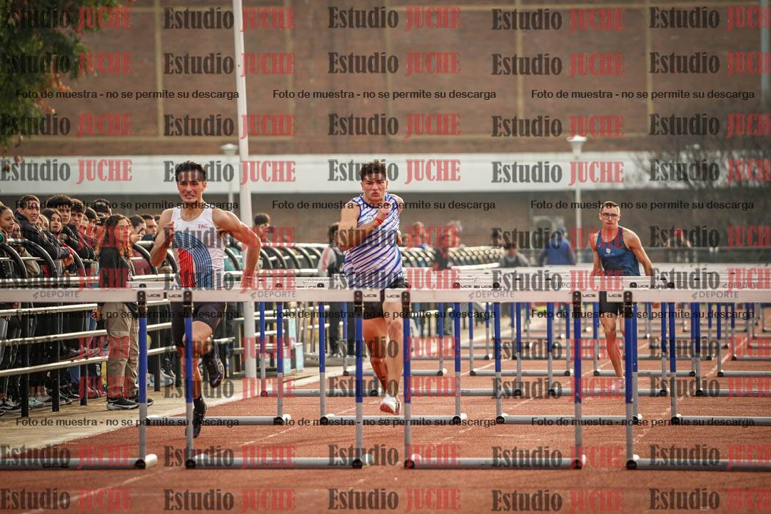 Fotos de los 110 m con vallas de varones