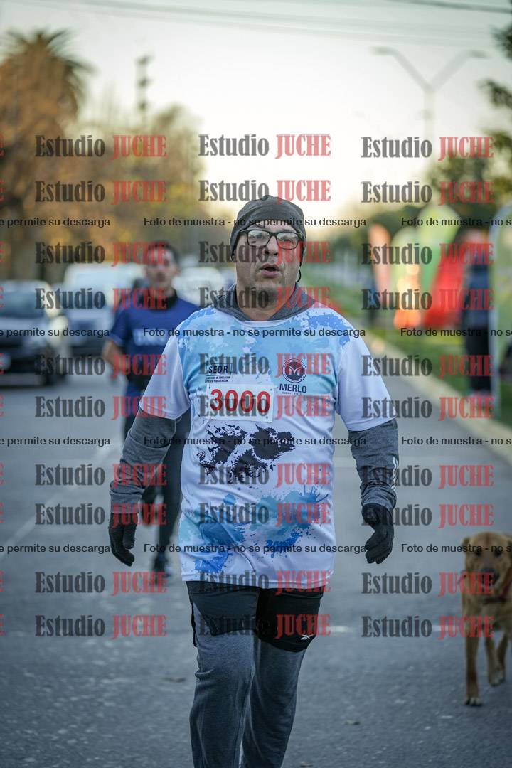 Fotos de las llegadas