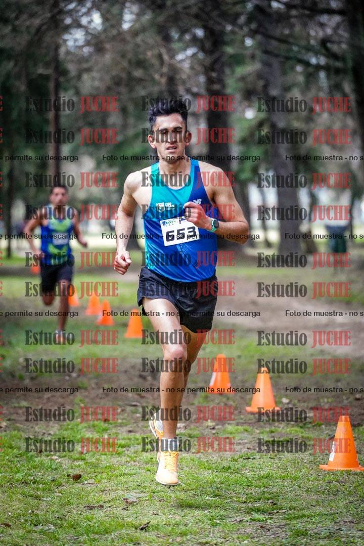 Fotos en el circuito