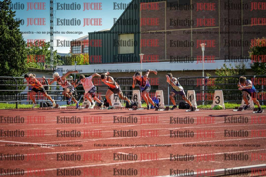 Fotos de los 110 m con vallas de varones