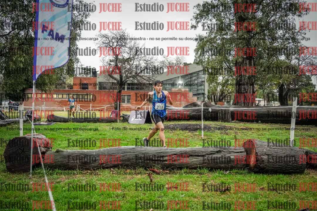 Fotos en el circuito