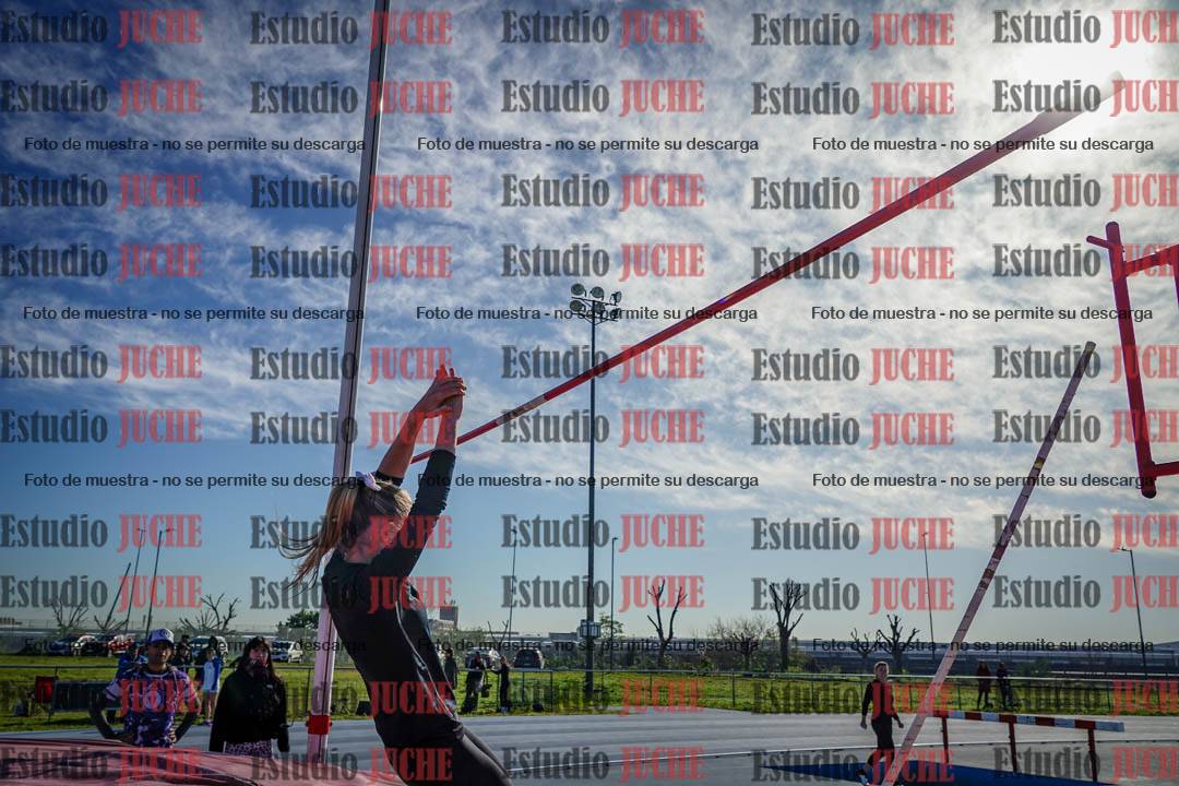 Fotos del salto con garrocha de mujeres y varones