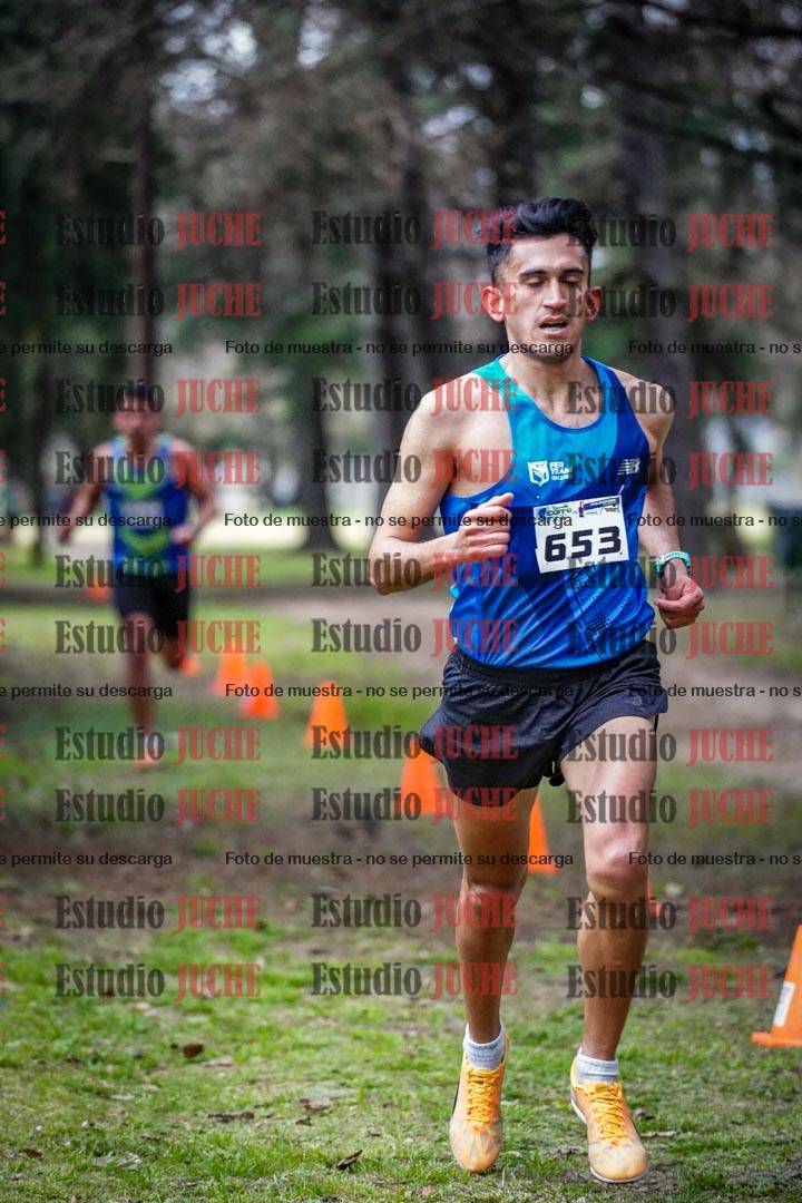 Fotos en el circuito