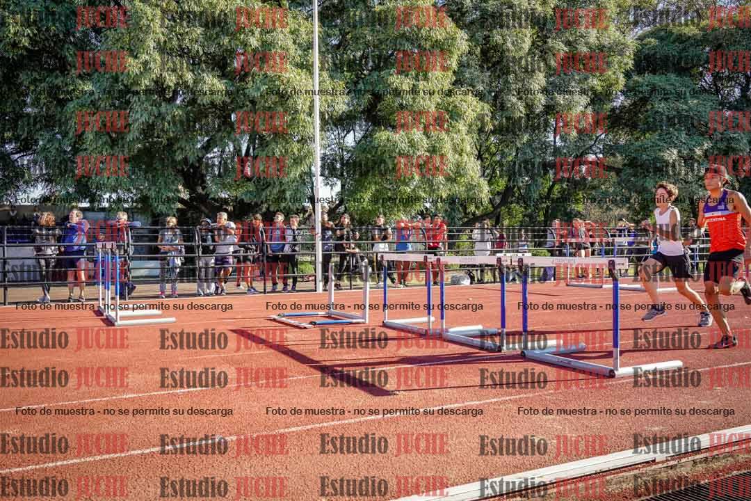 Fotos de los 110 m con vallas de varones