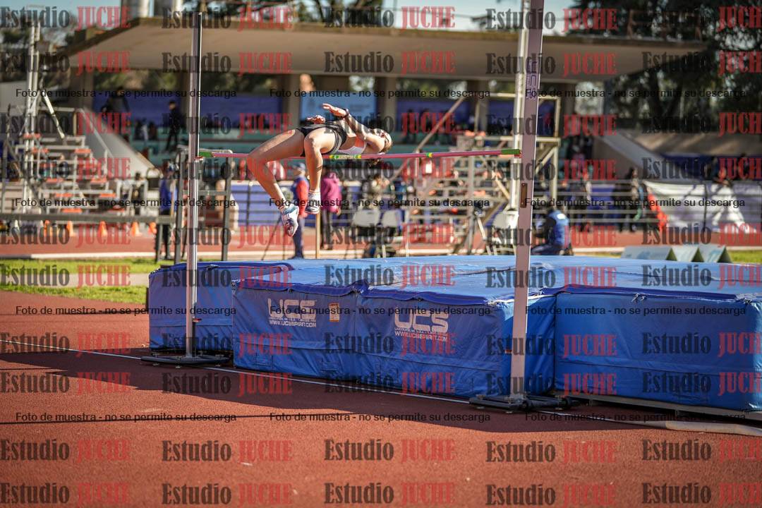 Fotos del salto en alto - todos los grupos