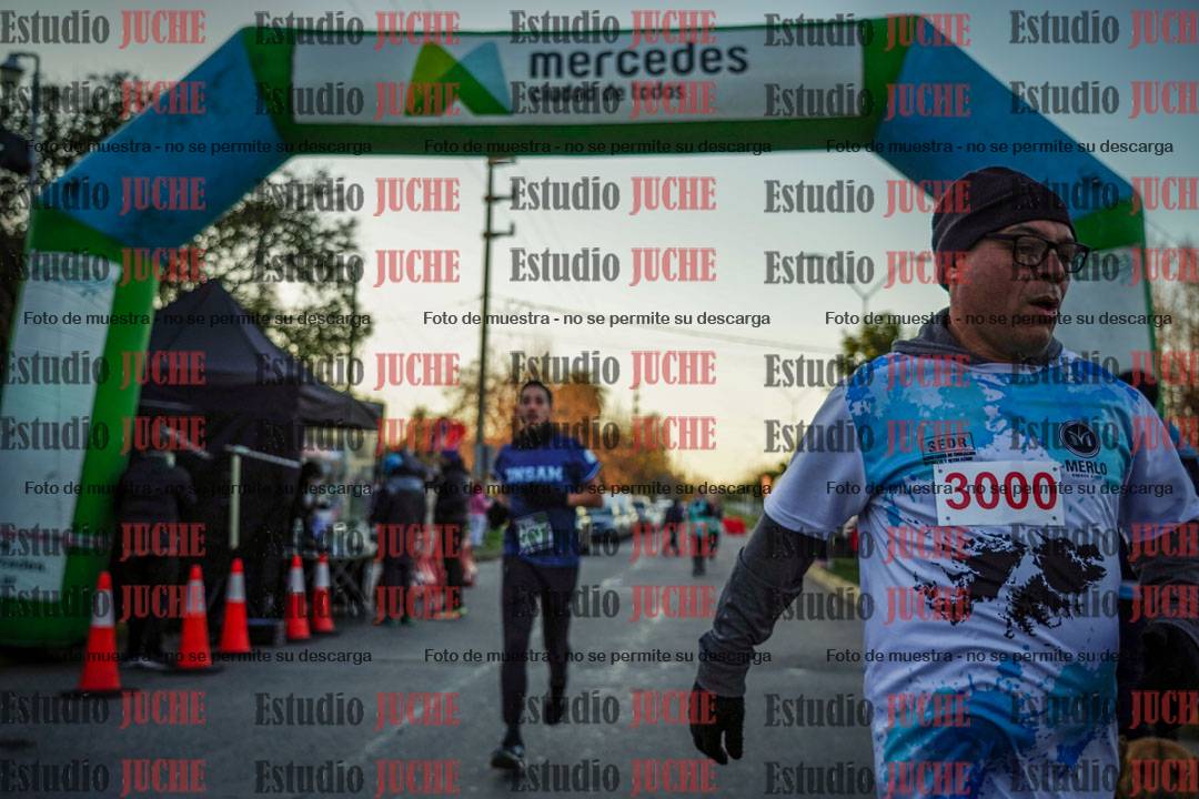 Fotos de las llegadas