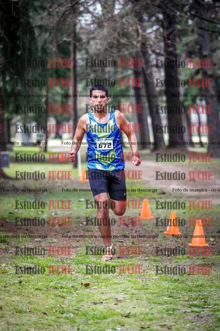 Fotos en el circuito