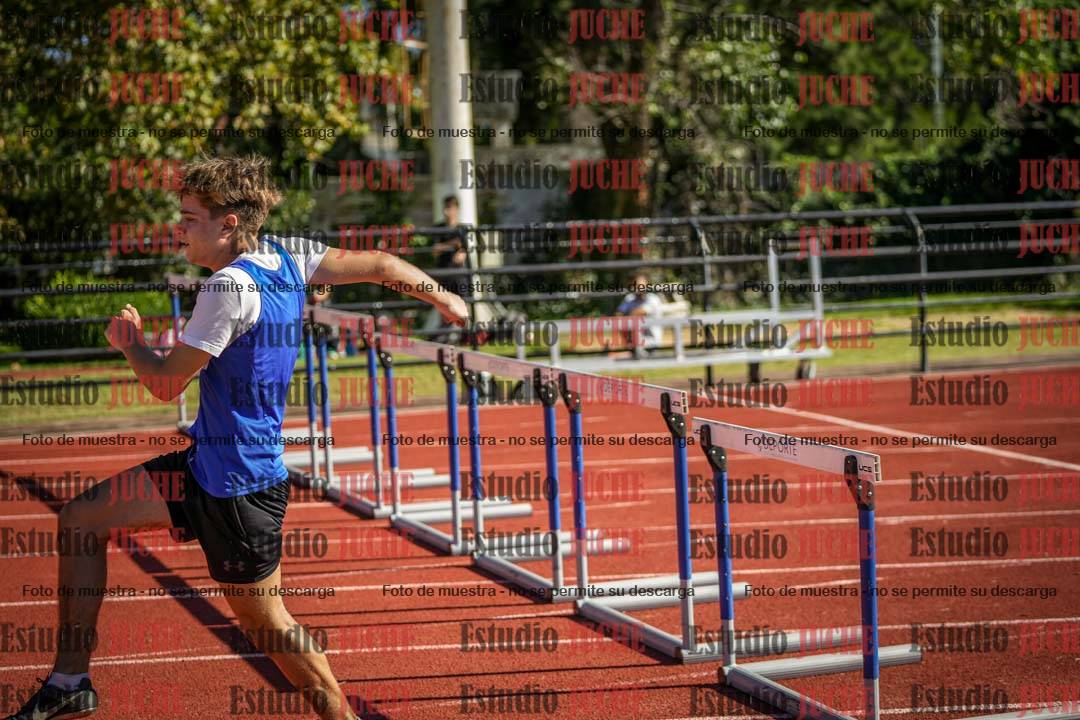 Fotos de los 110 m con vallas de varones