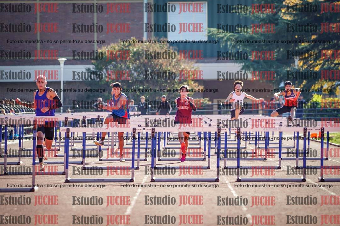 Fotos de los 110 m con vallas de varones