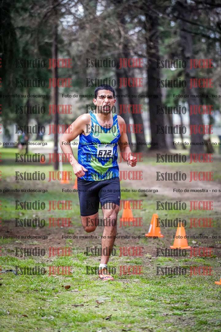 Fotos en el circuito