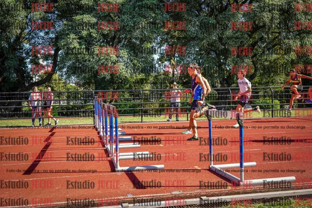 Fotos de los 110 m con vallas de varones