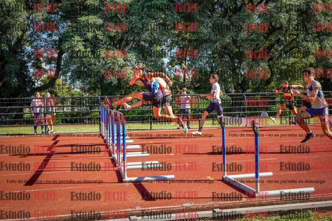 Fotos de los 110 m con vallas de varones